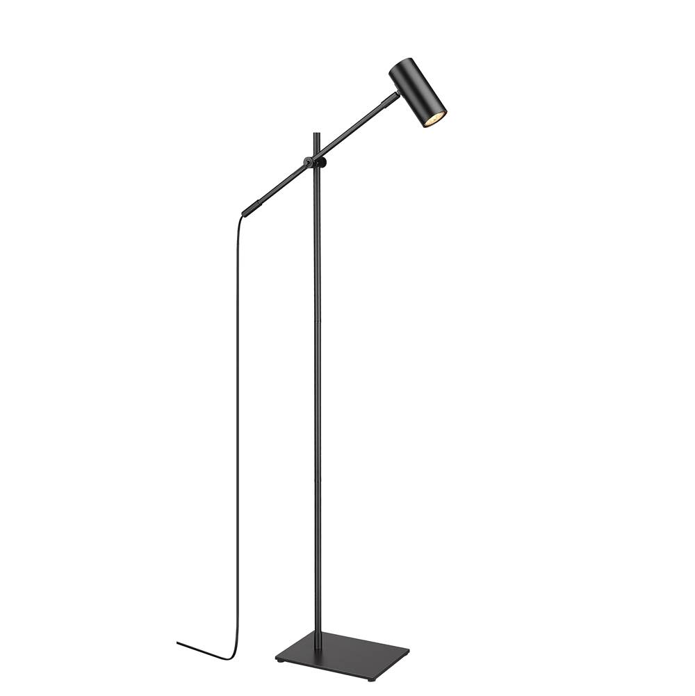 Z-Lite 1 Light Floor Lamp